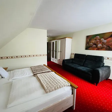 Отель Schwanenweiher