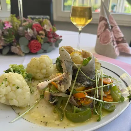 Отель Schwanenweiher 3*