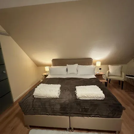 Schwanenweiher מלון 3*