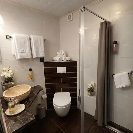 Schwanenweiher 3*